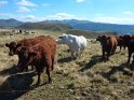 2012-09-19 15-21-07 la Banne d'Ordanche MBo